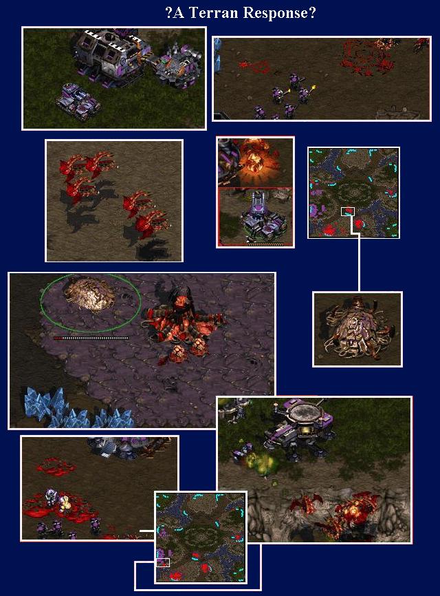 Fast Huntress + Demon Hunter is the best stra.. fuck wrong game. t.t